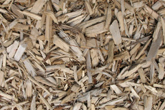 biomass boilers Littlewood